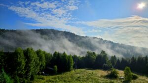 IMG_20250711_110352_059