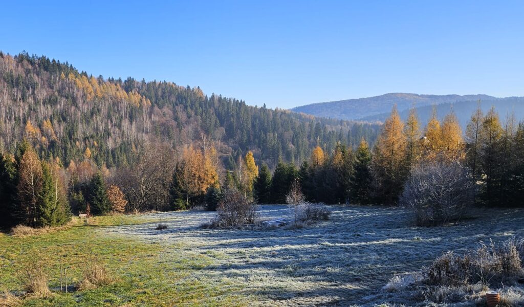 Bieszczady poza sezonem – dlaczego warto przyjechać w maju, czerwcu i wrześniu?