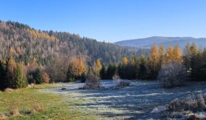 Wiosna w Bieszczadach